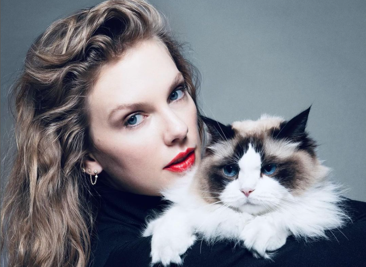 taylor swift childless cat lady